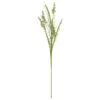 House Doctor Blume, Gypsophila -Dekoration Verkauf house doctor blume 0